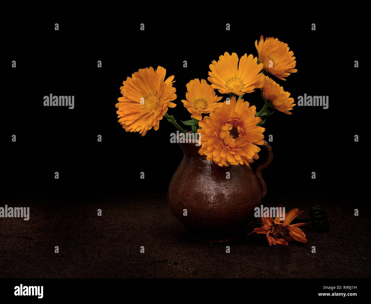 Fading Ringelblumen, Konzept, Licht Malerei immer noch Leben. Stockfoto