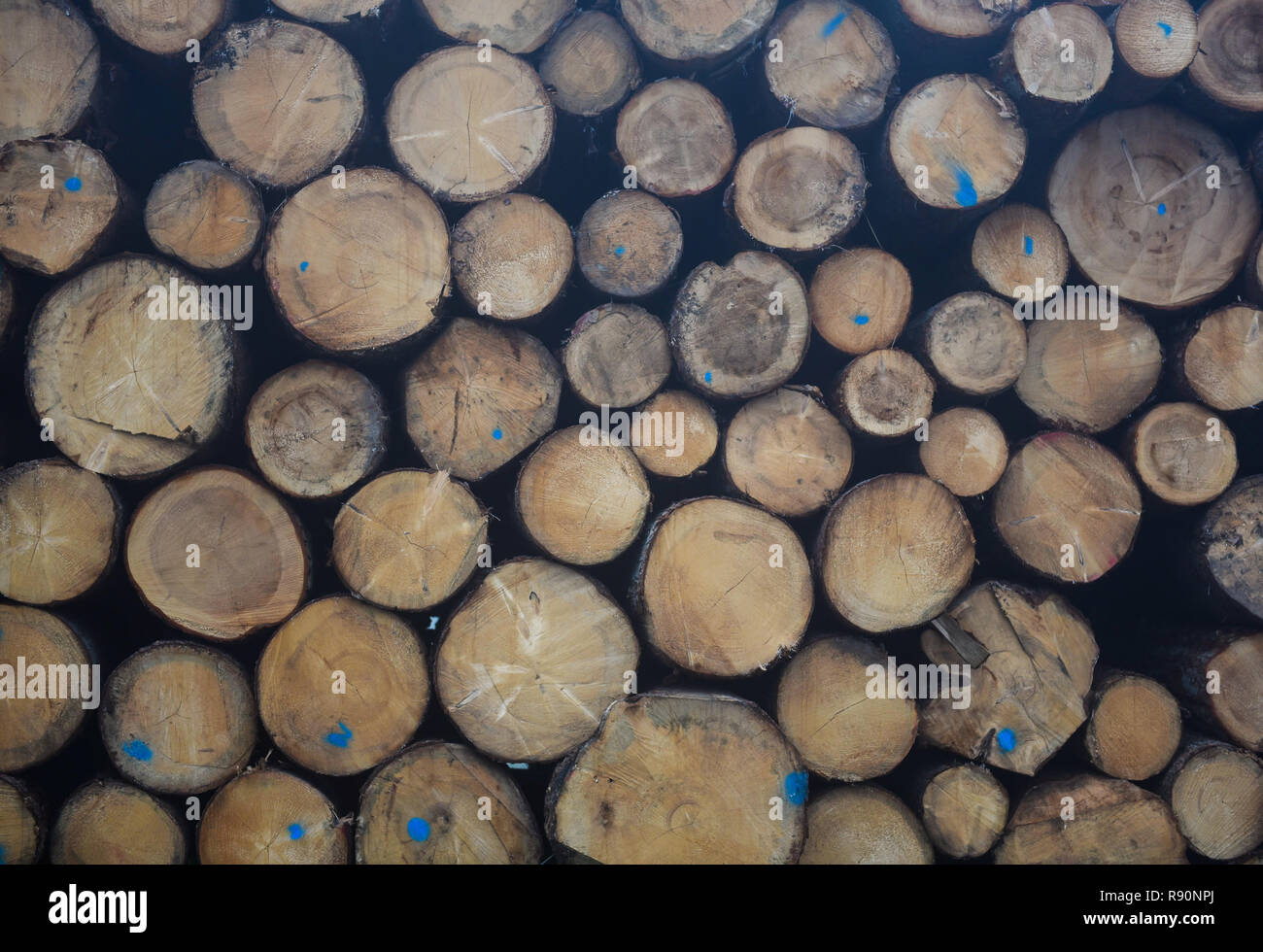 gestapelte Holz Stockfoto