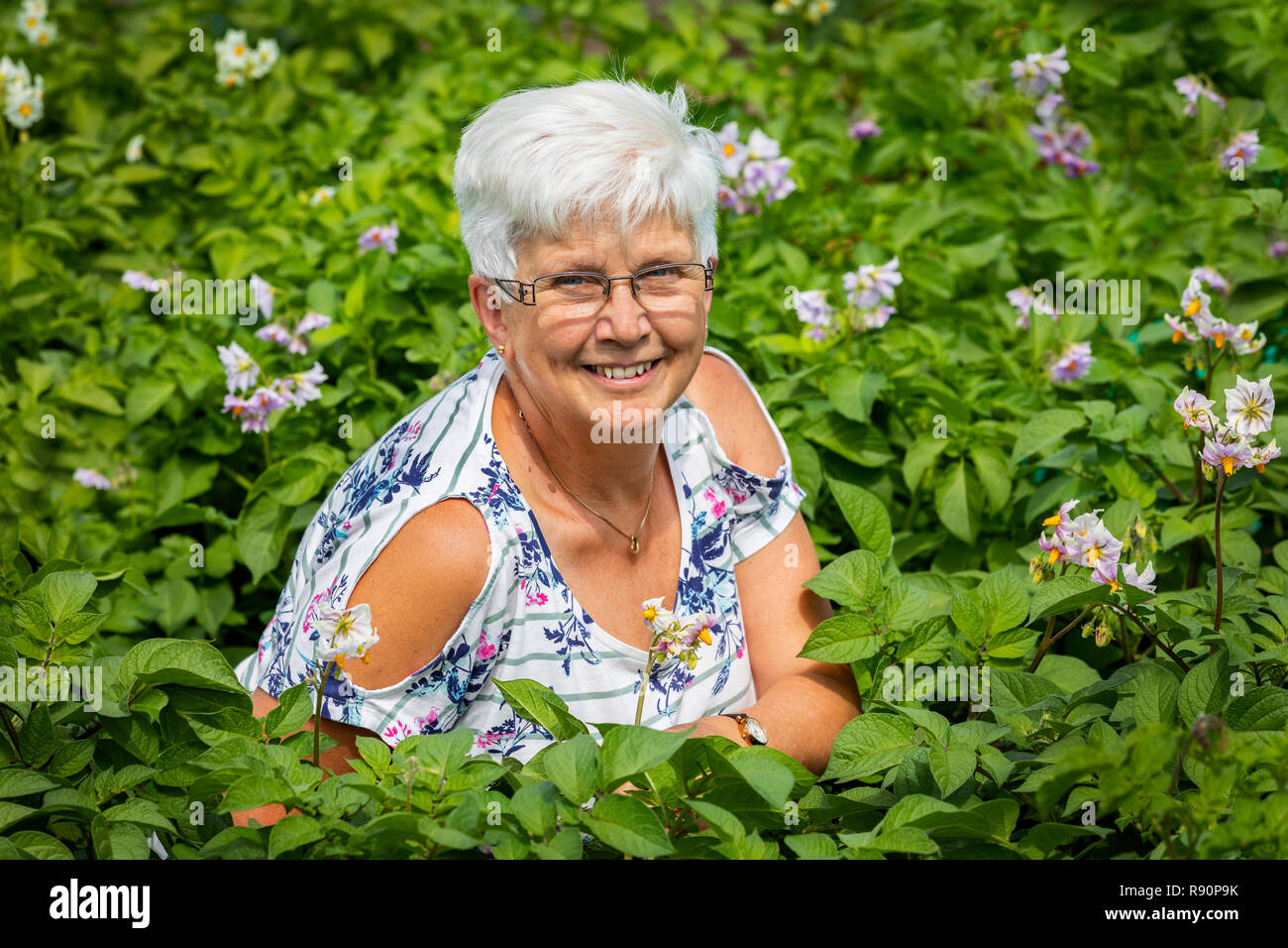 Bild von Jean Brown, Grundstück 19b sitzen in einem Bett aus Kartoffeln, Eglinton Gärten, Kilwinning, Ayrshire, Schottland Stockfoto