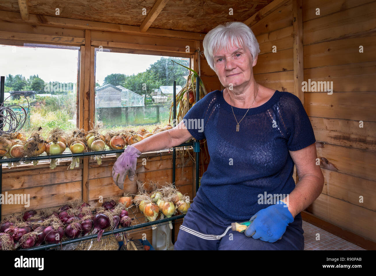 Marion McMahon, Grundstück 24 Eglinton Züchter Kleingärten, Kilwinning, Ayrshire, Schottland, Großbritannien Stockfoto