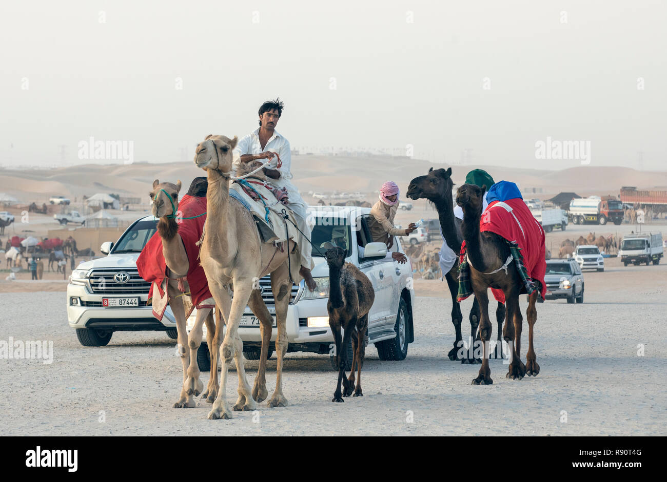 Madinat Zayed, Vereinigte Arabische Emirate, am 15. Dezember, 2017: arabische Mann mit seinem Kamel an der Millionen Straße, wo Kamele gekauft und verkauft. Stockfoto