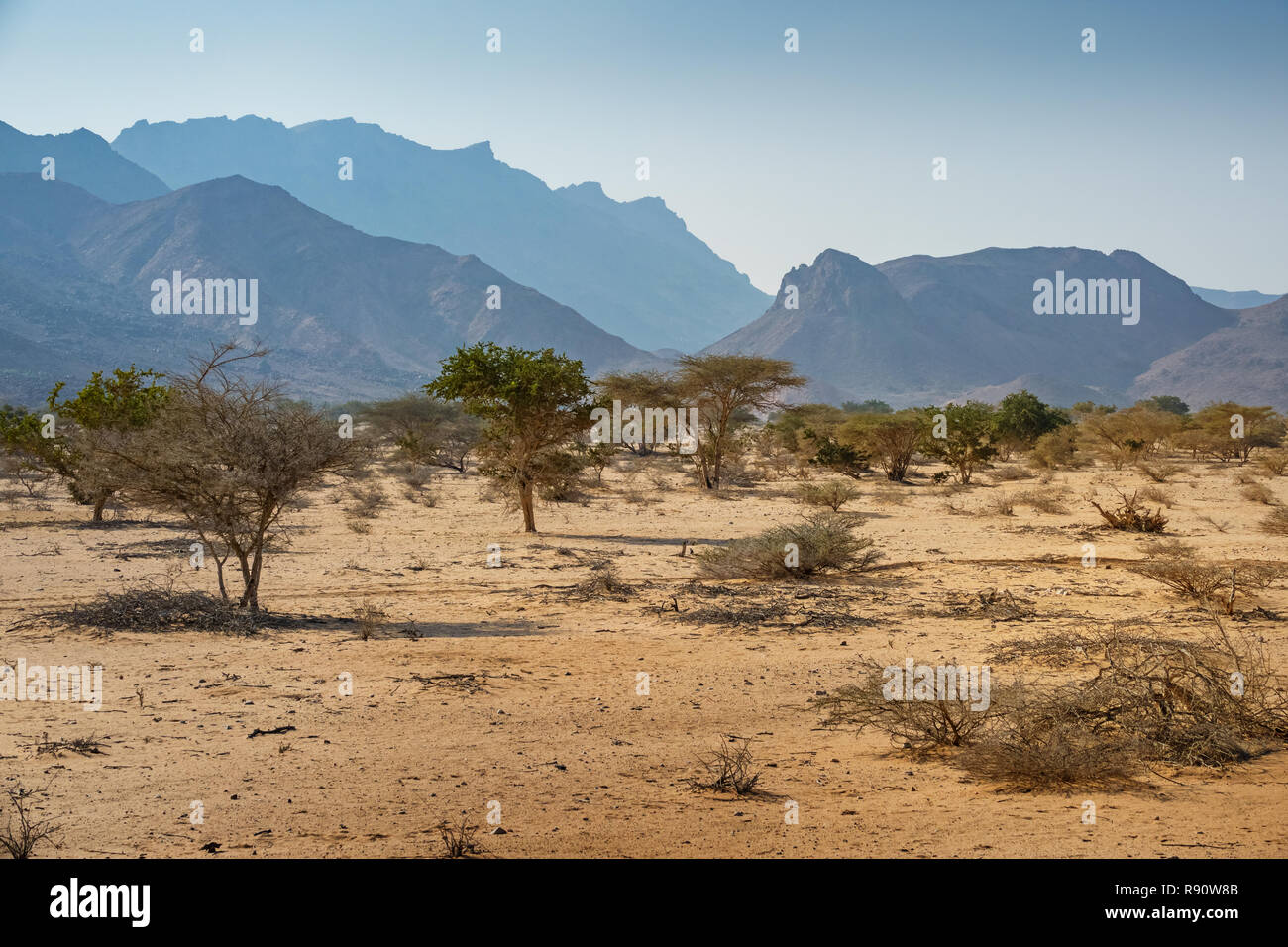 Landschaft mit Bergen in der Nähe von Berbera Somalia Somaliland Stockfoto