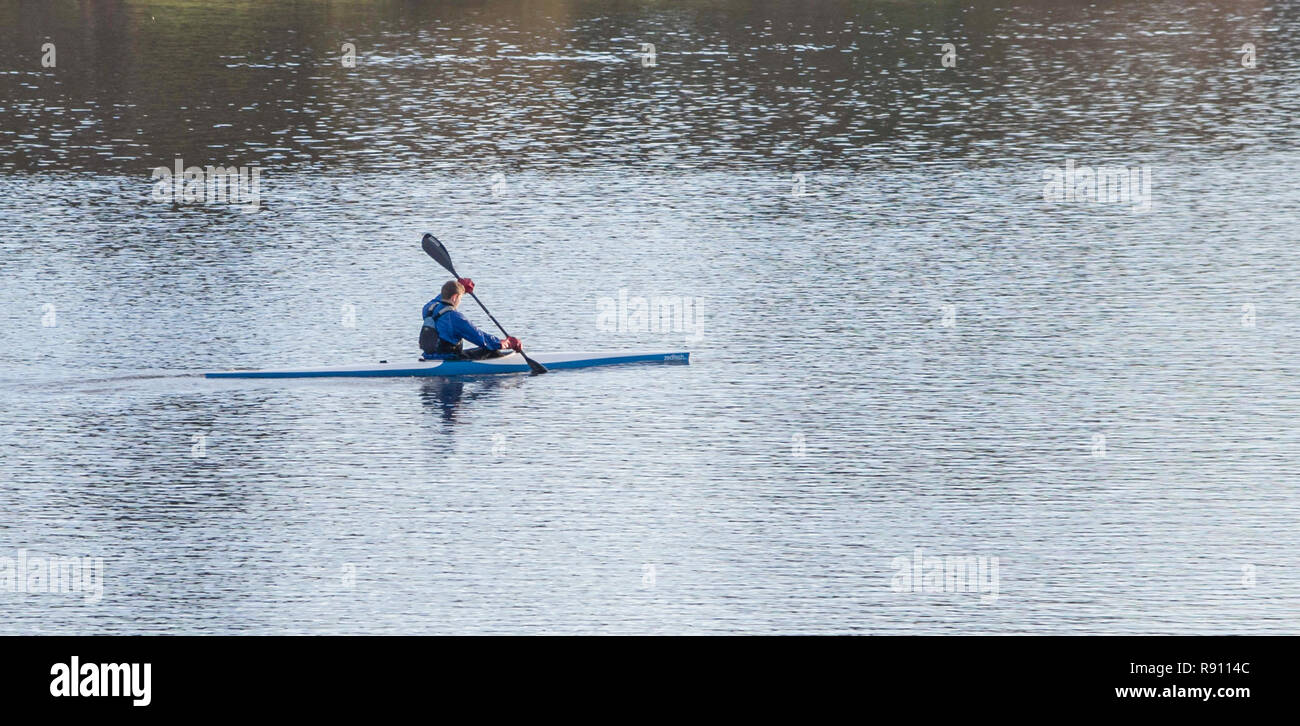 Eine einzelne Person genießt es, auf dem See zu rudern in seinem Ruderboot. Trentham Gardens Staffordshire England Großbritannien Stockfoto