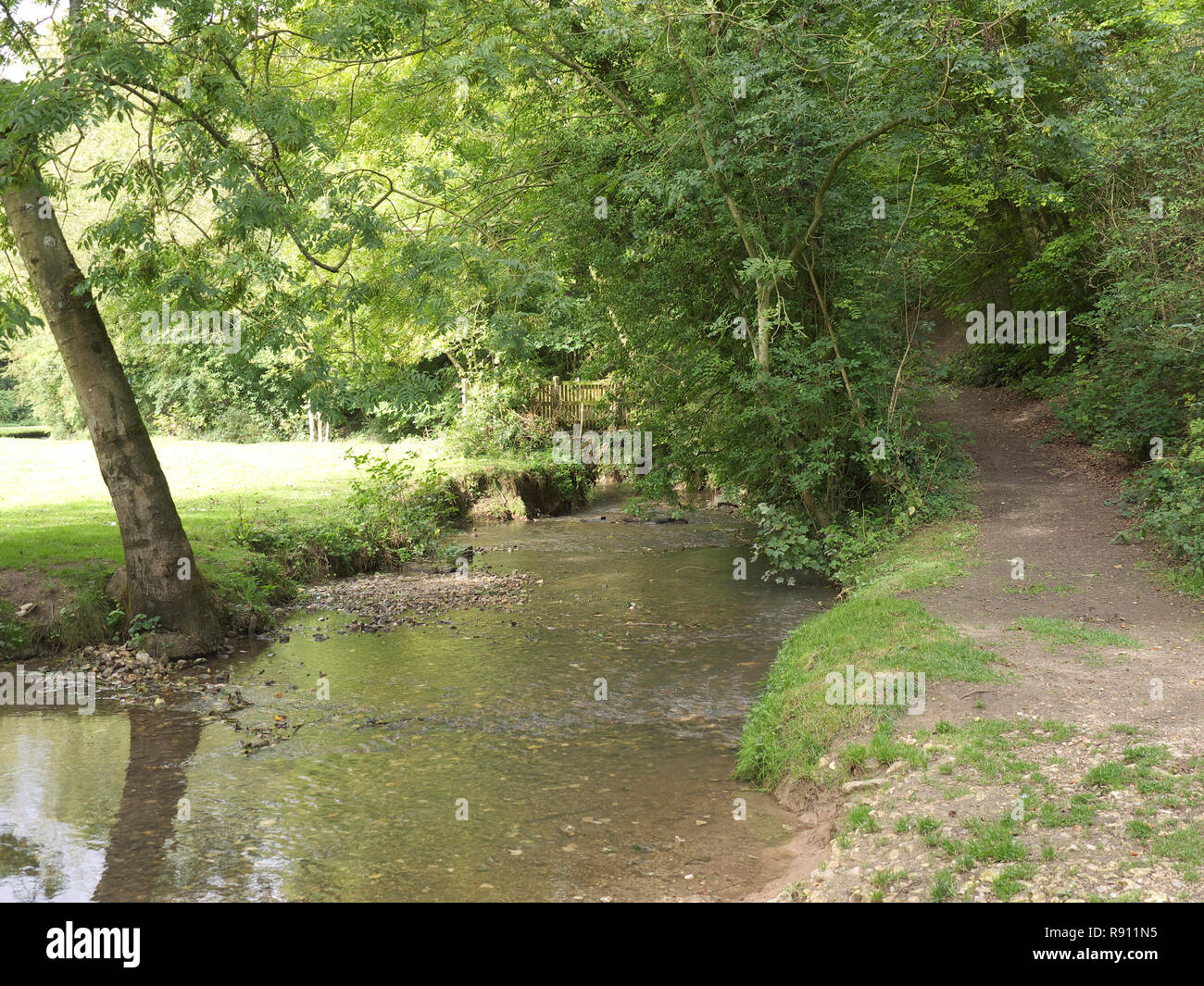 Der Fluss lud im frühen Herbst Stockfoto