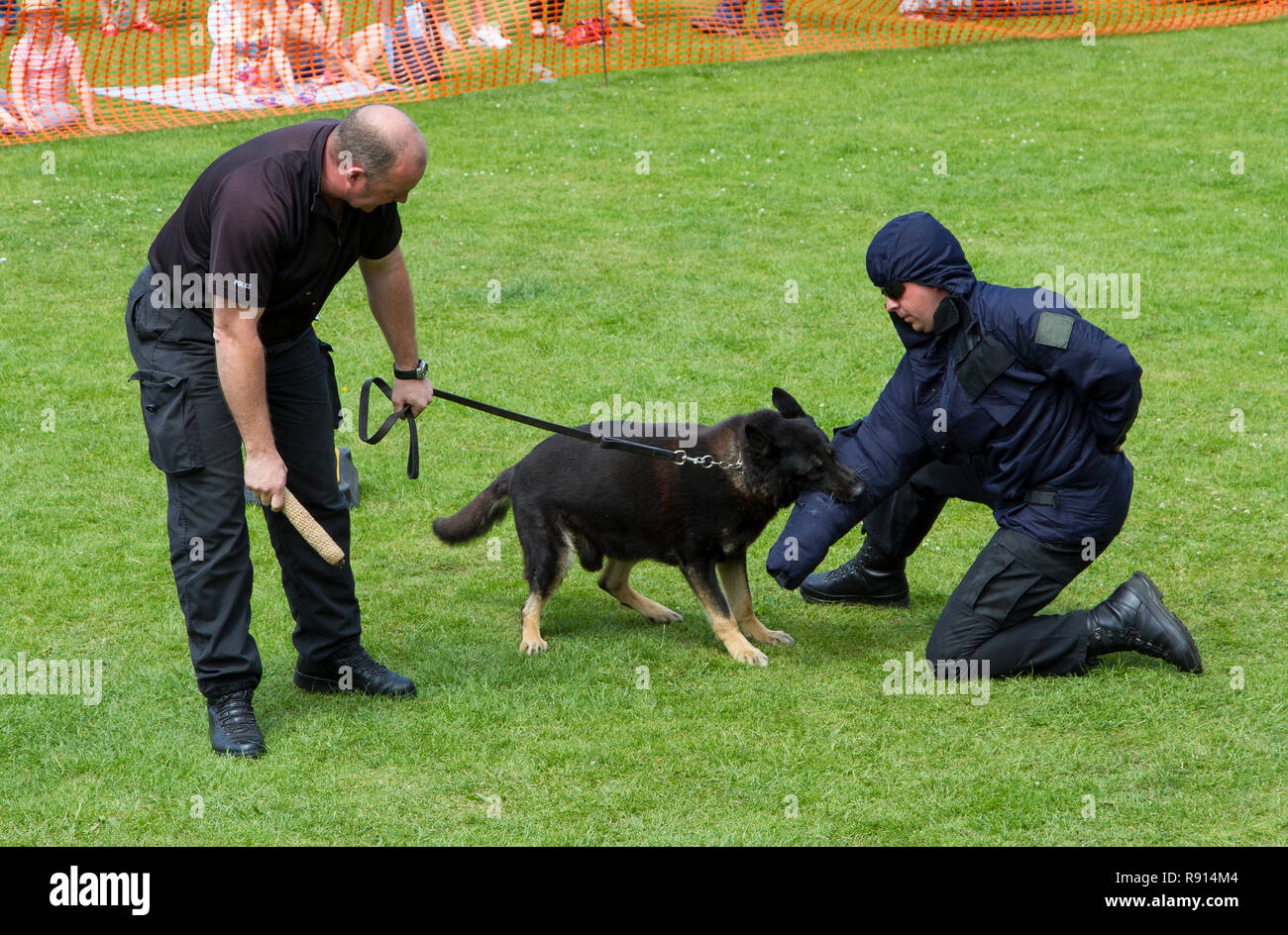 Polizei Hund Einheit Demonstration Stockfoto
