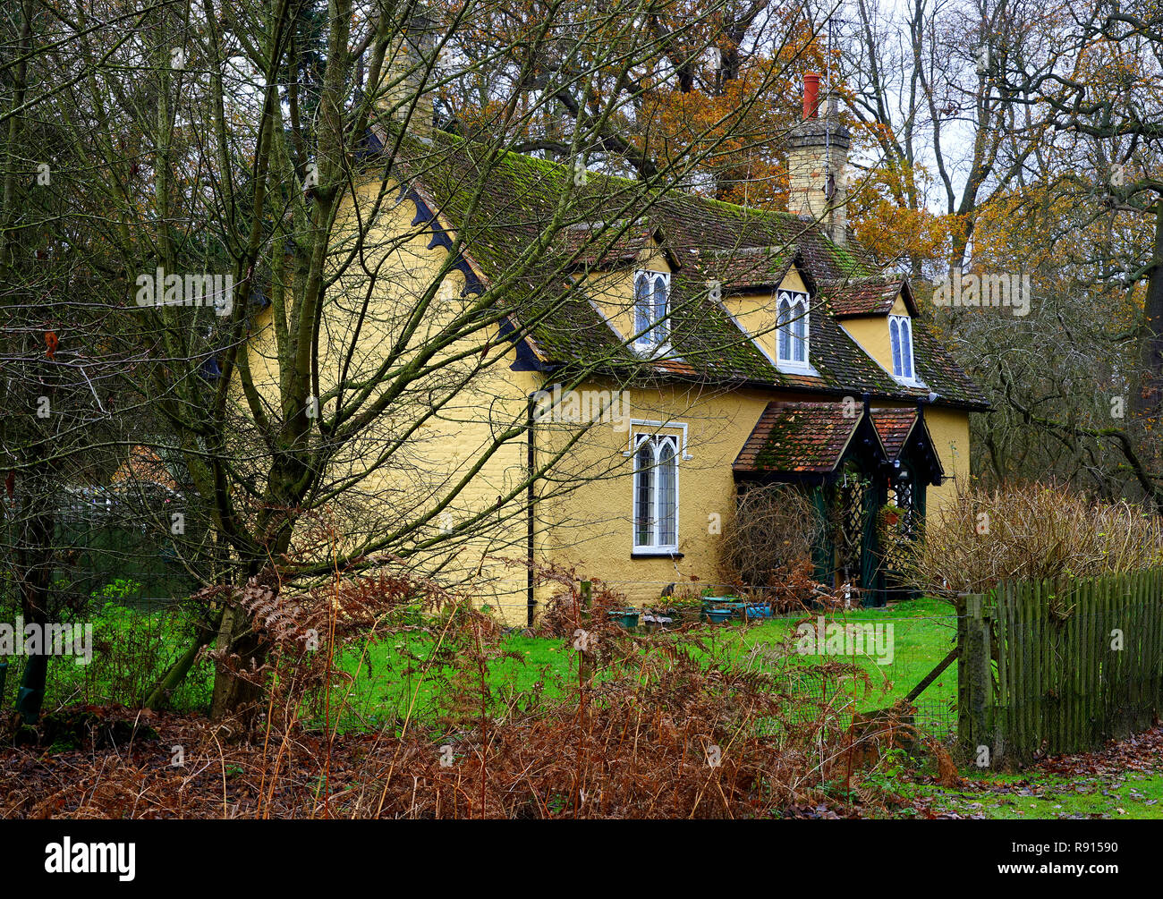 Hütte im Wald in der Nähe von Old Warden, Bedfordshire Stockfoto
