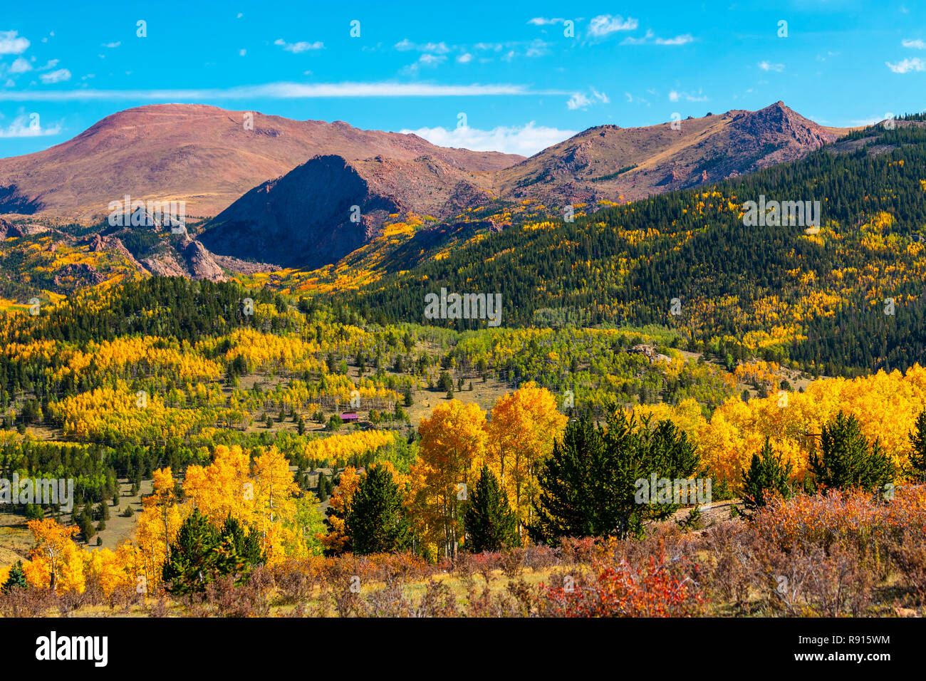 Herbstfarben auf der Nordwand des Pikes Peak Colorado Stockfoto