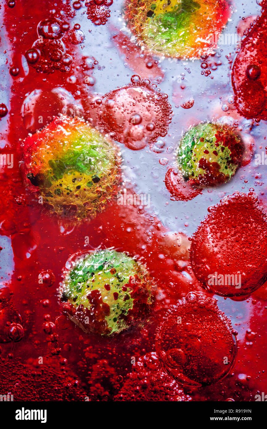 Nahaufnahme von Meningitis Bakterien, auch als Meningococcus, konzeptionelle Bild bekannt Stockfoto