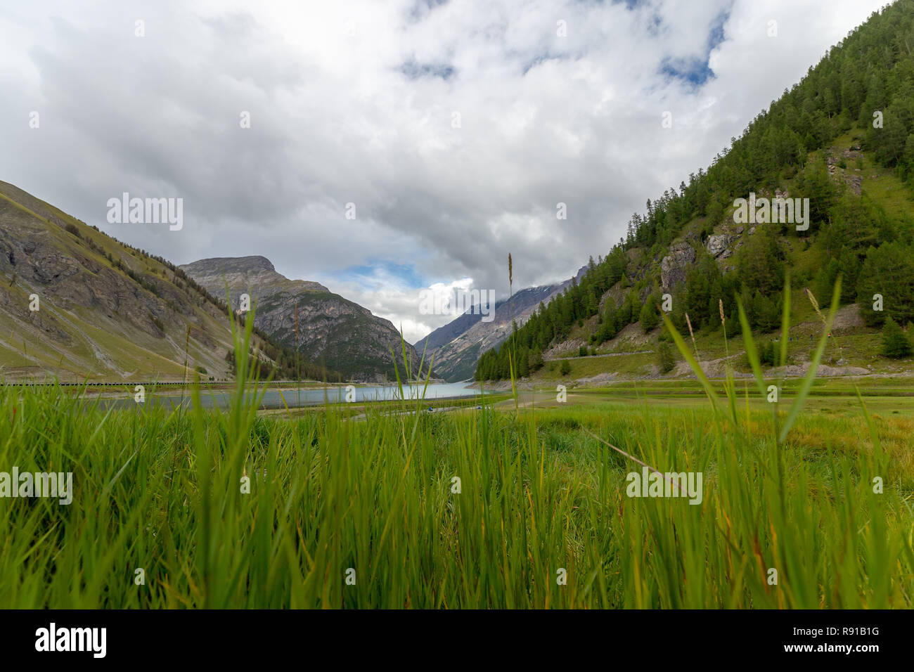 Sommer Foto Set auf das Tal von Livigno mit Bildern auf den See und die Berge Stockfoto