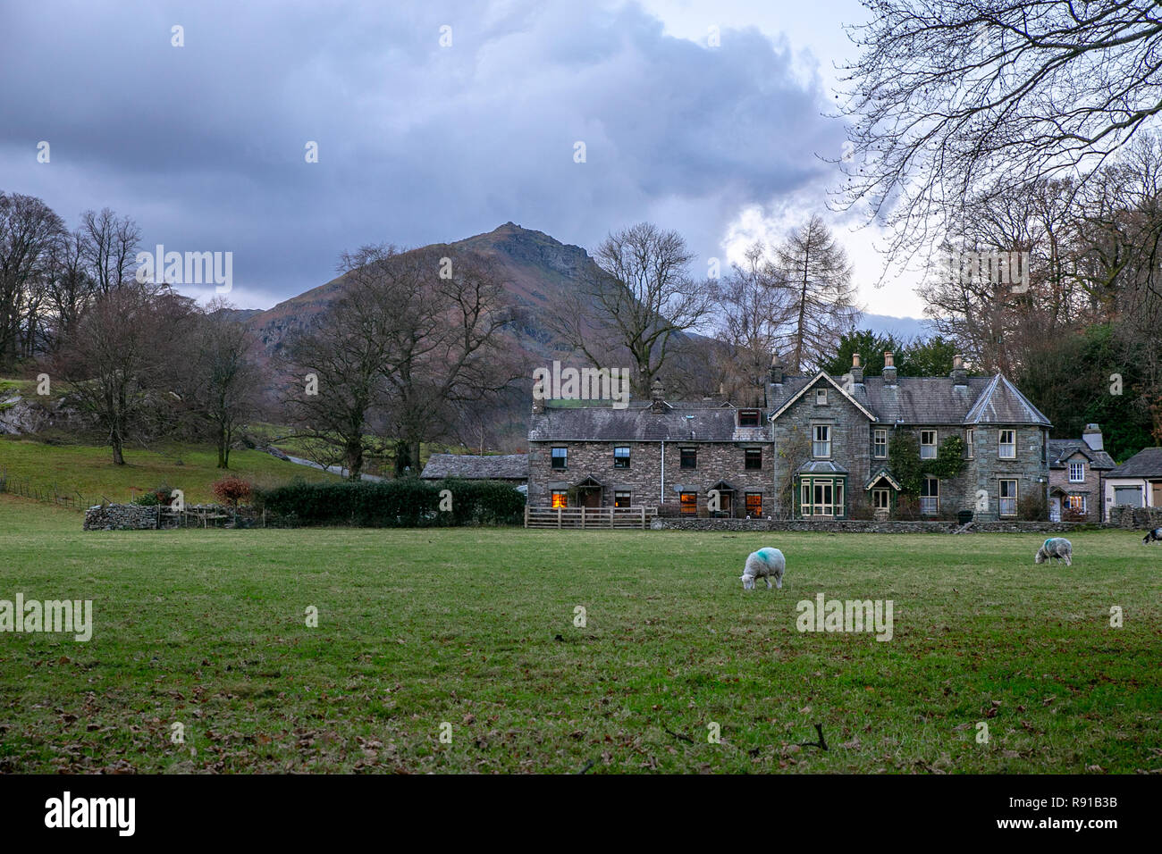 Traditionelle Steinhäuser am Rande von Grasmere Dorf mit einem Berg im Hintergrund und Schafe weiden im Vordergrund. Stockfoto