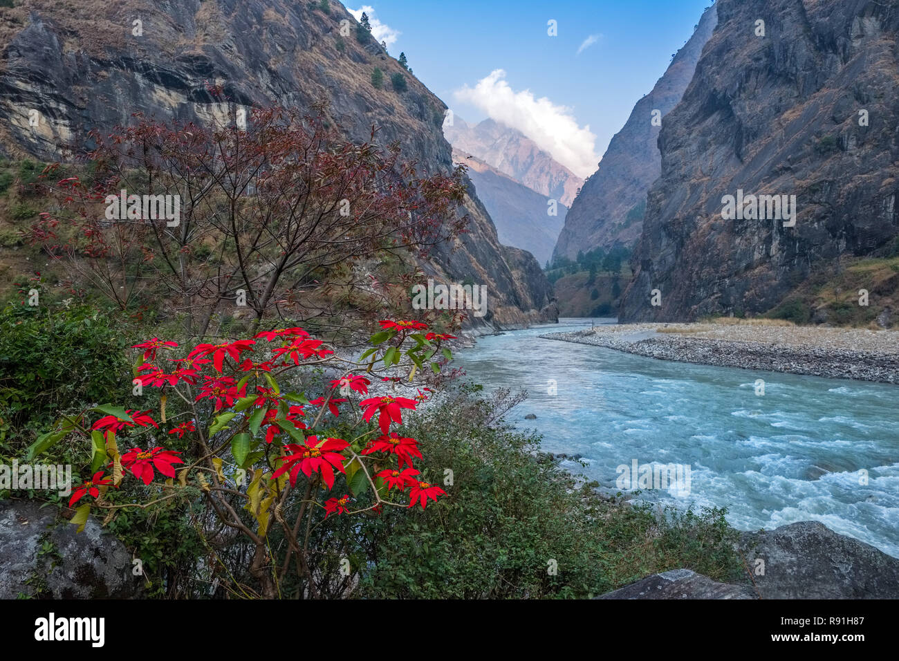 Das Flusstal des Budhi Gandaki ist auf den ersten Abschnitt der Manaslu Circuit Trek in Nepal Himalaya gefolgt Stockfoto