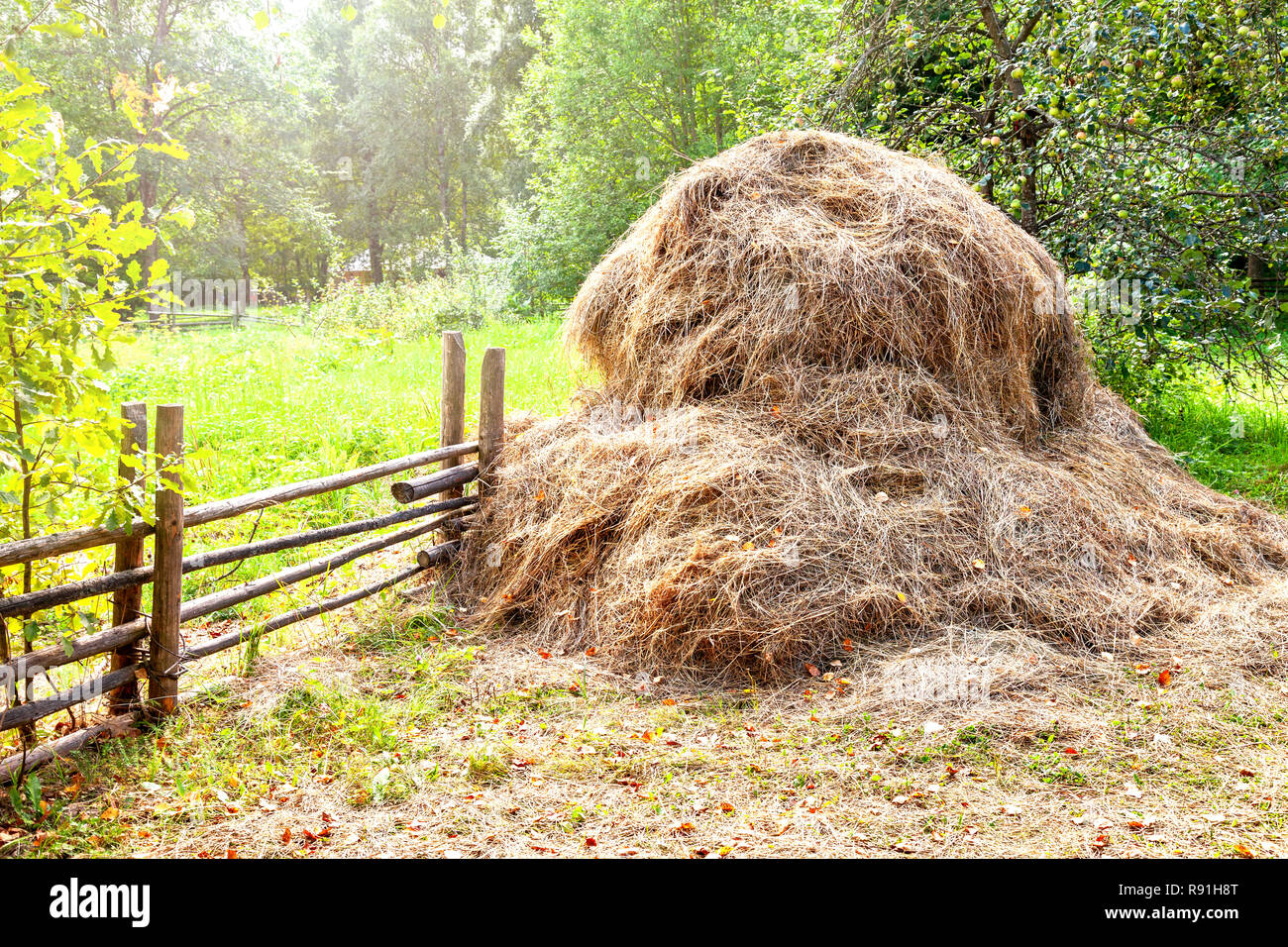 Stapel von trockenem Heu an sonnigen Sommertag im Land Stockfoto