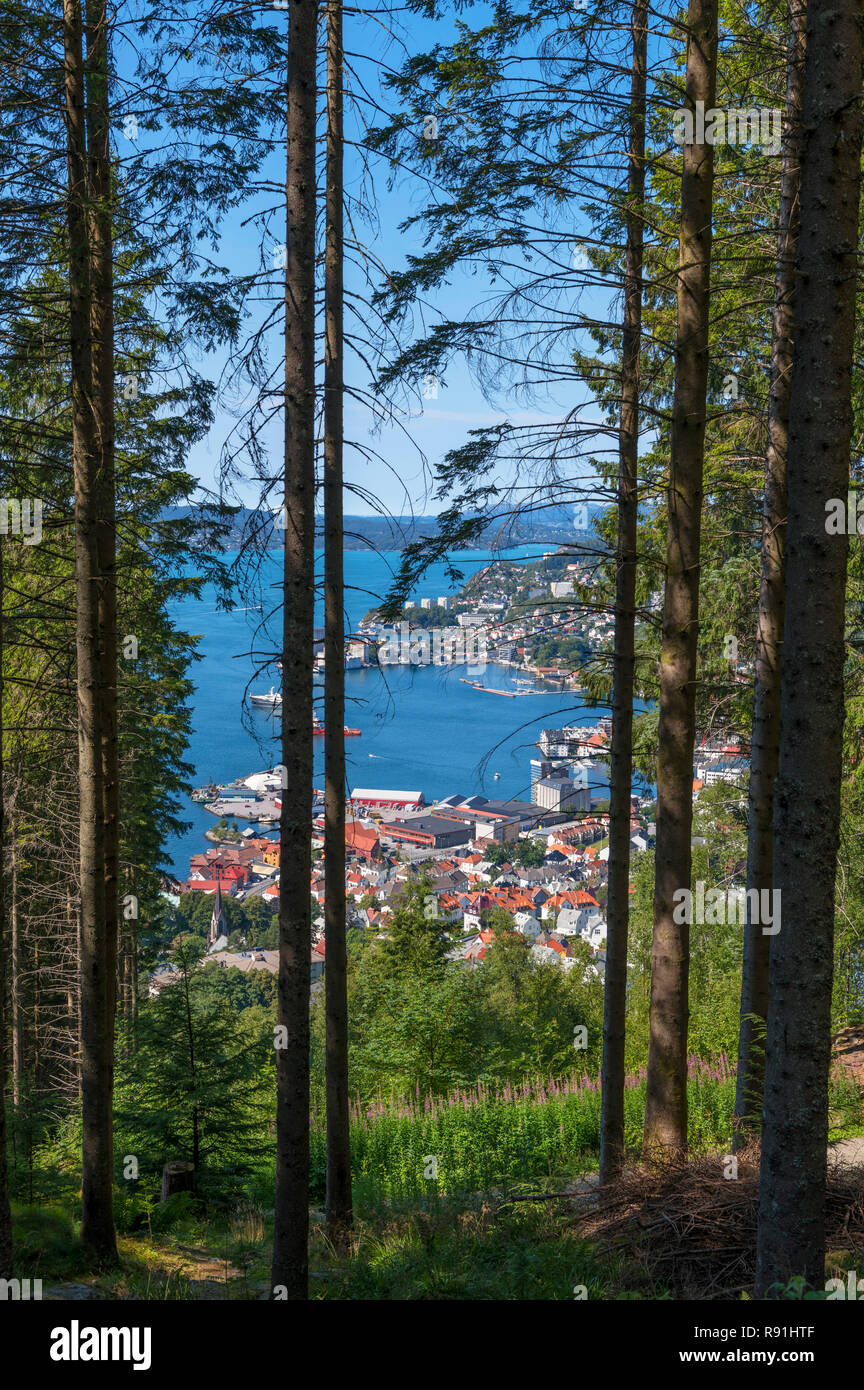 Blick über die Stadt von den Hängen des Mount Fløyen, Bergen, Westland, Norwegen Stockfoto