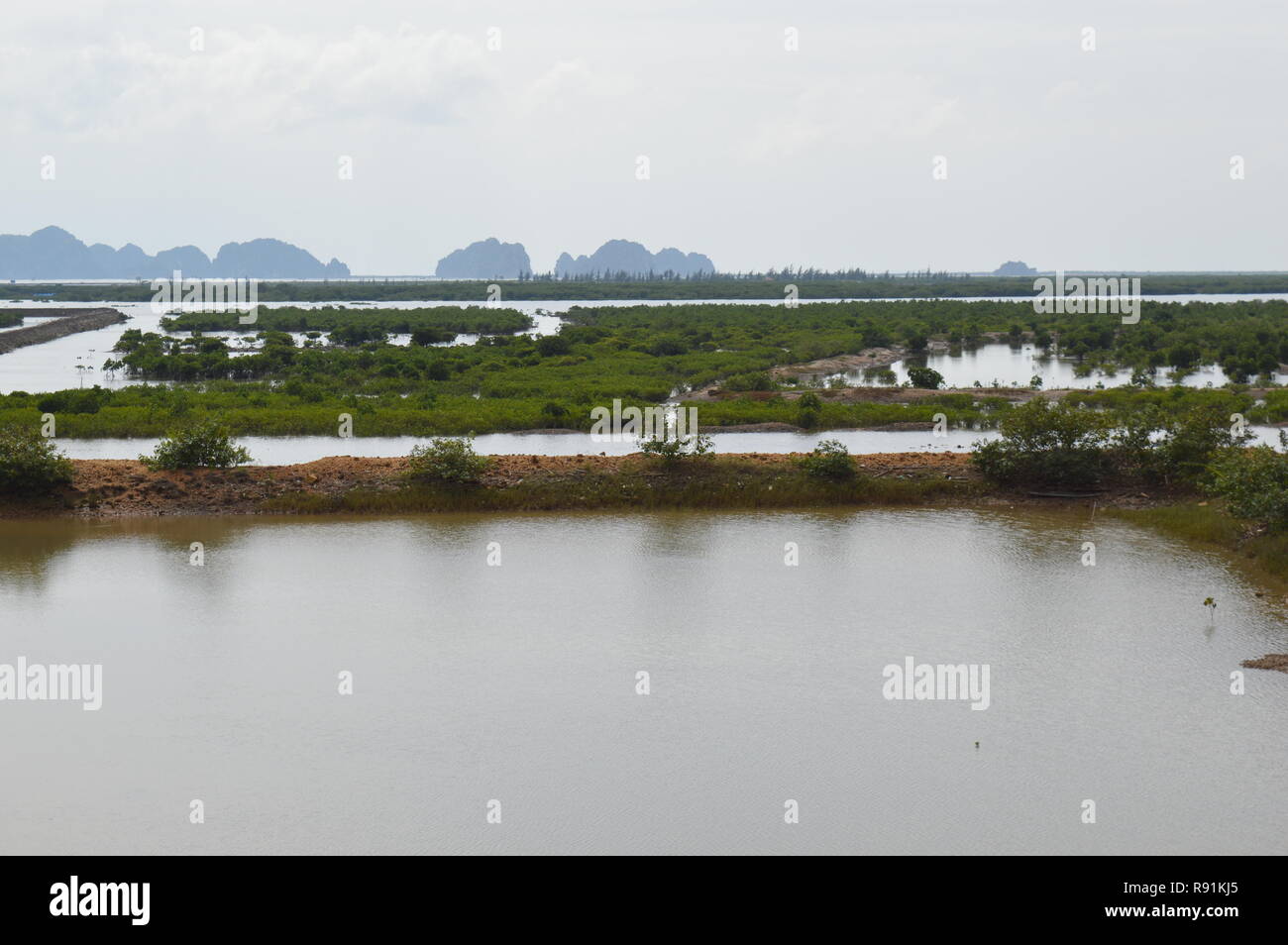 Austernbetten und Perlenarbeiten Hanoi / Halong Bay Vietnam Stockfoto