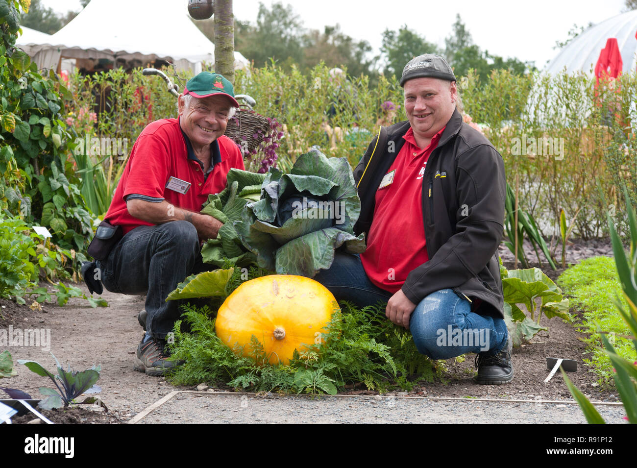 13.09.2011, Norderstedt, Schleswig-Holstein, Deutschland-Kleingaertner vom Kreisverband Dithmarschen praesentieren herbstlichen Kohl und Kuerbis Namen Stockfoto