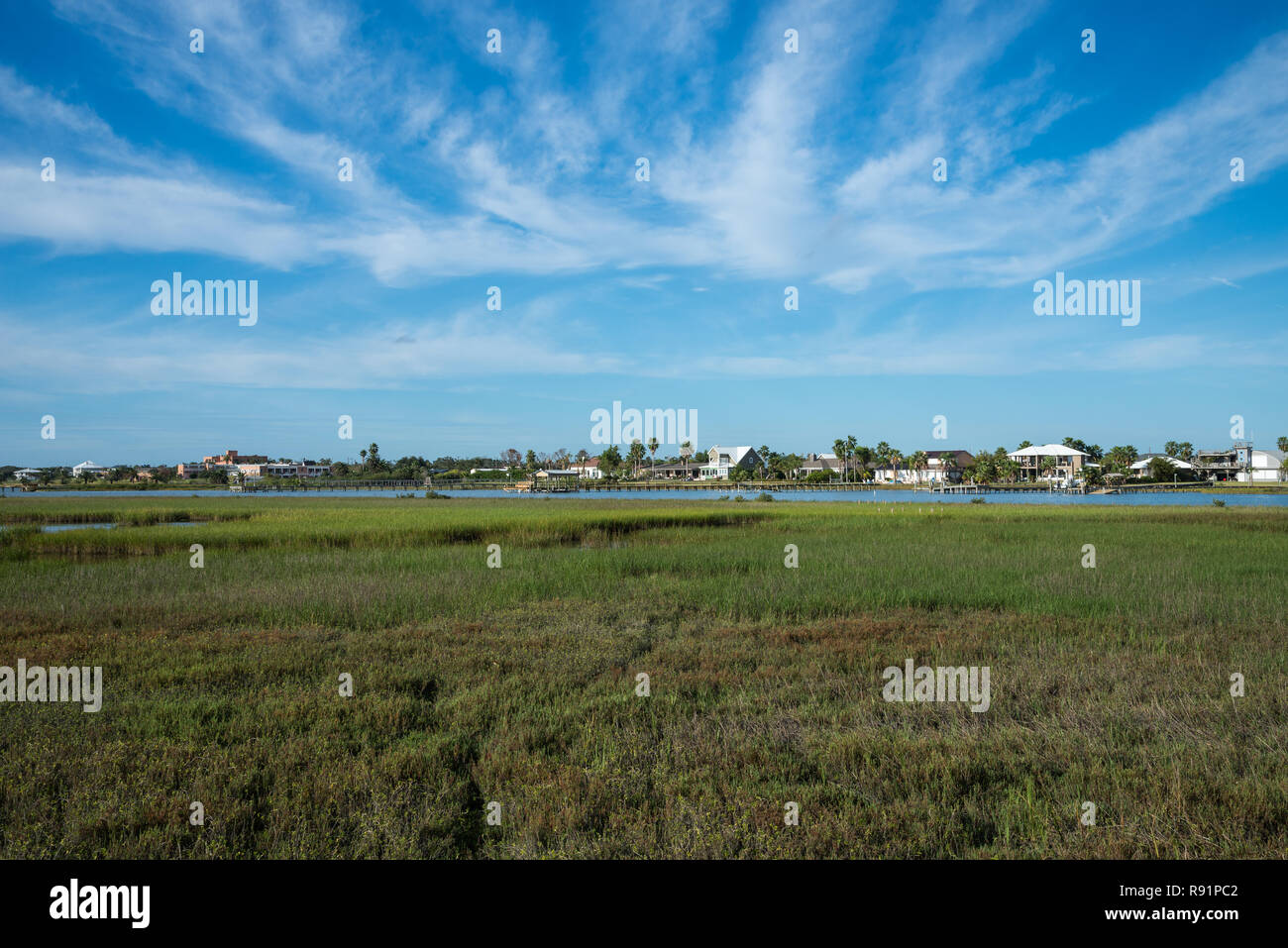 Wohnhäuser der vordringenden verehrten Feuchtgebiete im oberen Gulf Coast. Aransas National Wildlife Refuge, Texas, USA. Stockfoto