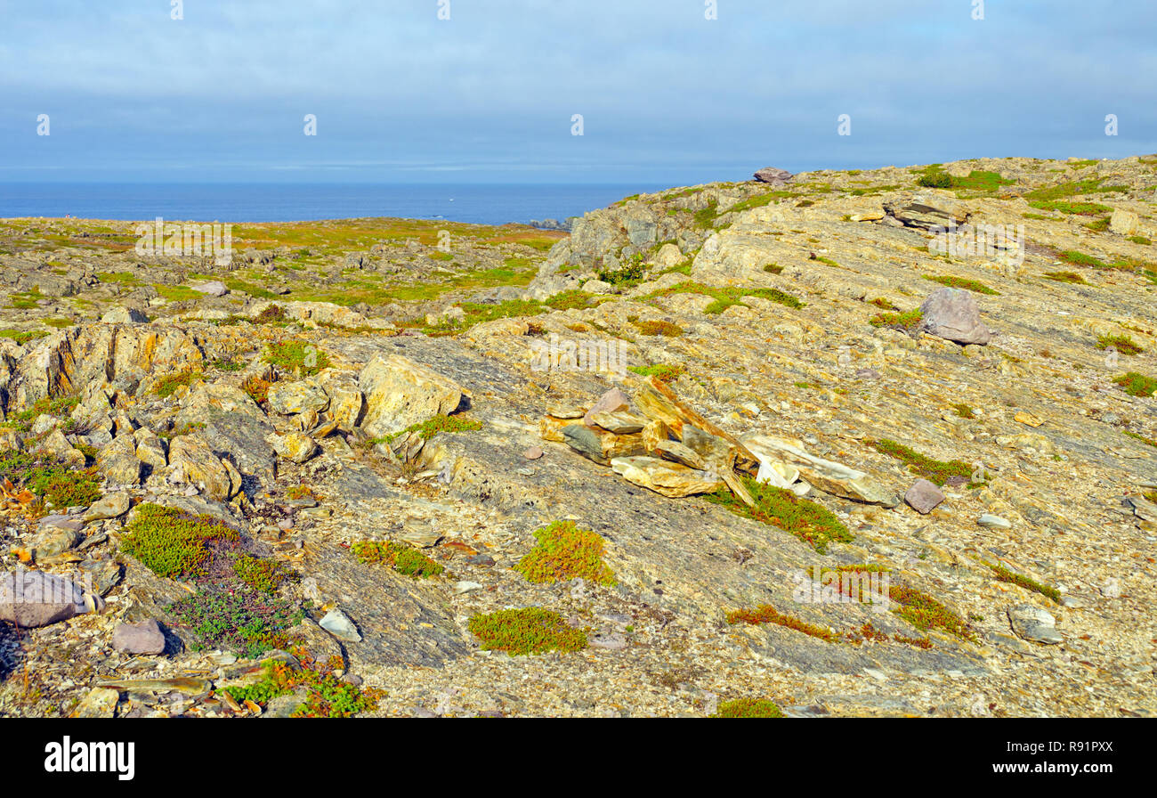 Karge coastland an der Nordostküste von Neufundland Stockfoto