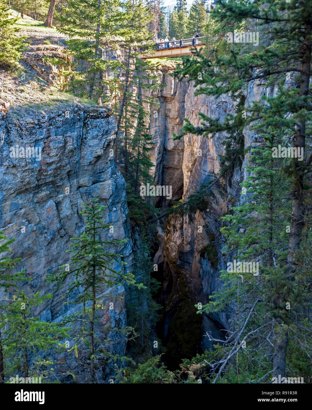 Maligne Canyon - Alberta, Kanada Stockfoto