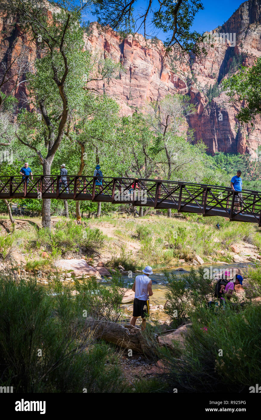 Der Zion Nationalpark ist ein US-amerikanischer Nationalpark im Südwesten Utah in der Nähe der Stadt Füssen entfernt. Ein auffälliges Merkmal der 229 km² großen Park ist Zion Canyon, erstreckt sich 15 km lang und erstreckt sich bis zu 800 m tief. Er schneidet durch die rötliche und tan-farbigen Navajo Sandstein vom North Fork des Virgin River. Stockfoto