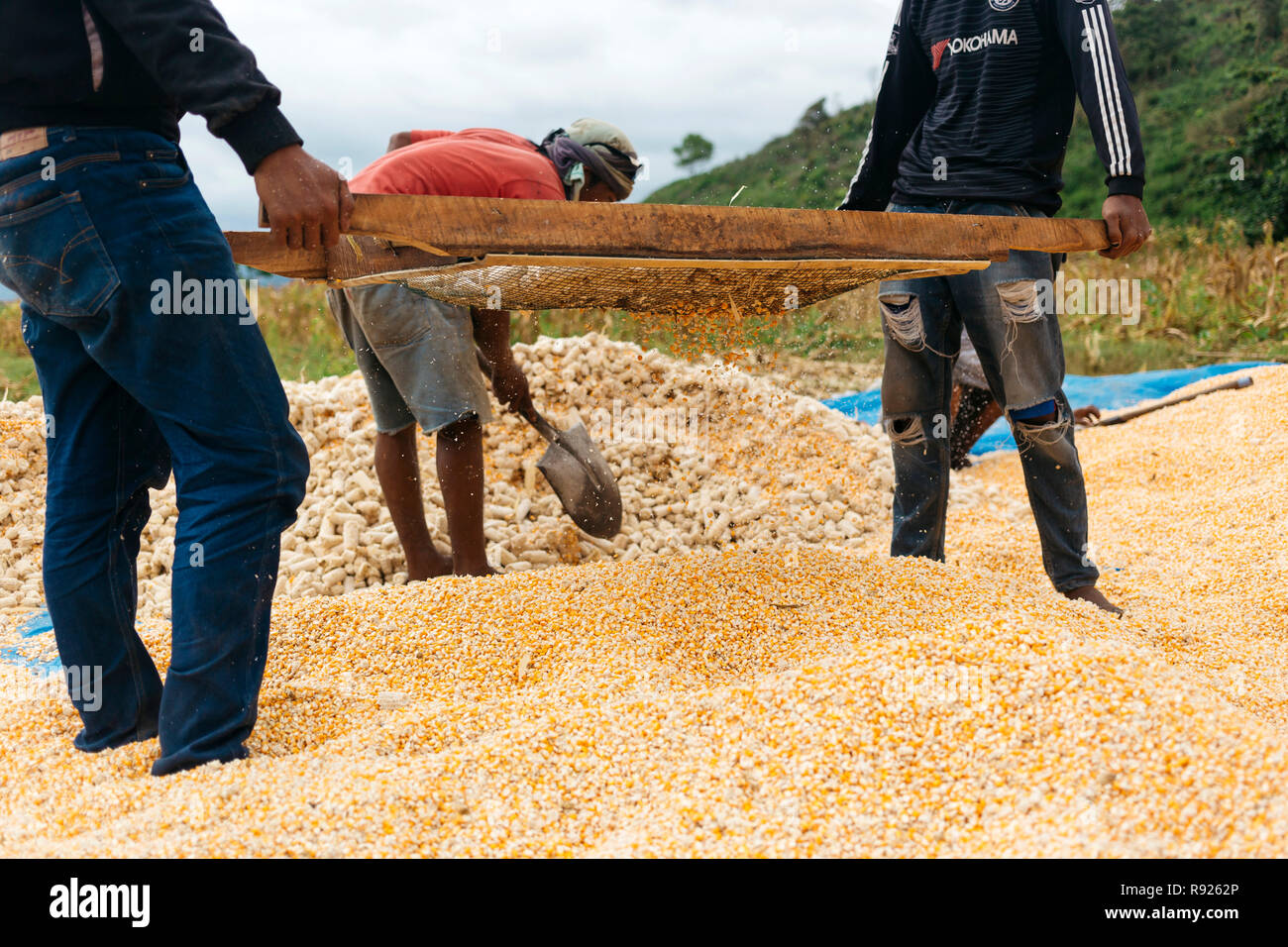 Männliche Arbeitnehmer sichten Haufen von Mais, Kuta, Lombok, Indonesien Stockfoto