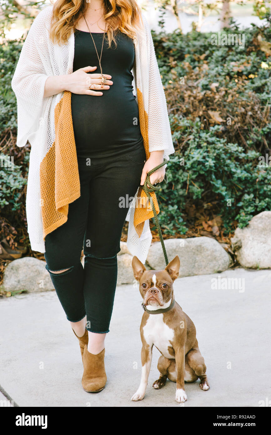 Schwangere Frau steht neben ihr Haustier Boston Terrier und hat ihre Hände auf ihrem Bauch Stockfoto