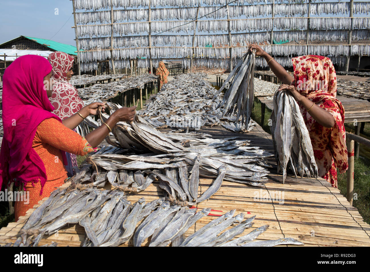 Arbeitnehmer, die Verarbeitung von Fisch im trockenen Fisch Werk Cox Bazar, Bangladesch Nazirartek getrocknet werden. Stockfoto