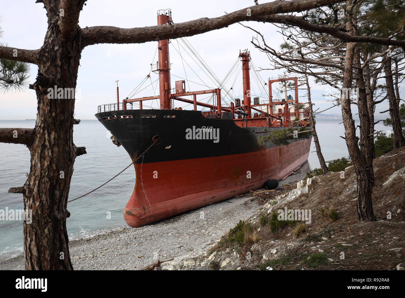 Russland 19 Dez 2018 Krasnodar Russland Dezember 19