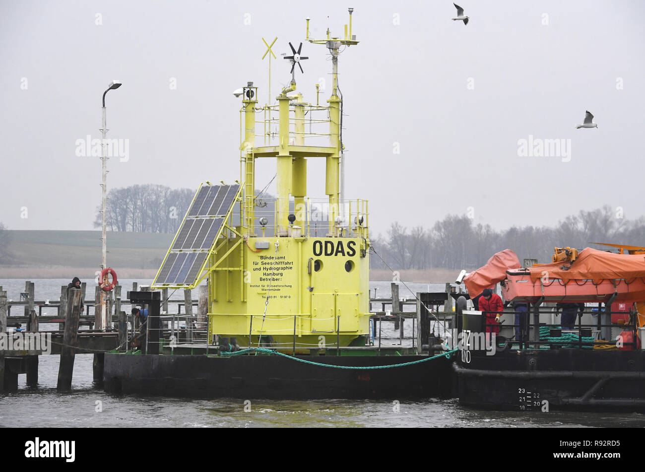 Wolgast, Deutschland. 19 Dez, 2018. Die messboje' Oderbank" wird am Hornwerft für den Winter. Seit Mai 1996 ist die Überwachung der Station hat die Informationen über den Inhalt der "outflow Flagge' der Oder in die Ostsee. Die Boje gehört zur Umwelt die 'MARNET' Netzwerk zur Überwachung des Bundesamtes für Seeschifffahrt und Hydrographie (BSH). Es wird betrieben vom Leibniz-Institut für Ostseeforschung Warnemünde (IOW). Quelle: Stefan Sauer/dpa-Zentralbild/ZB/dpa/Alamy leben Nachrichten Stockfoto