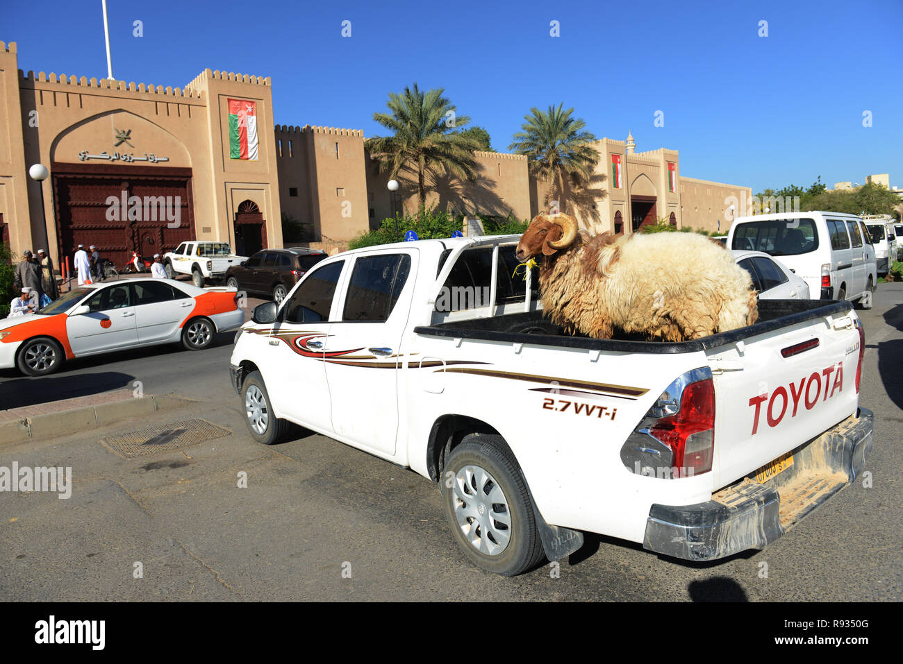 Die geschäftige Nizwa Viehmarkt findet jeden Freitag Vormittag statt durch die Nizwa fort in Oman. Stockfoto