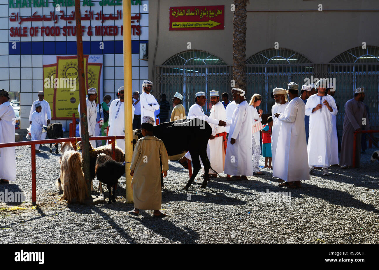 Die geschäftige Nizwa Viehmarkt findet jeden Freitag Vormittag statt durch die Nizwa fort in Oman. Stockfoto