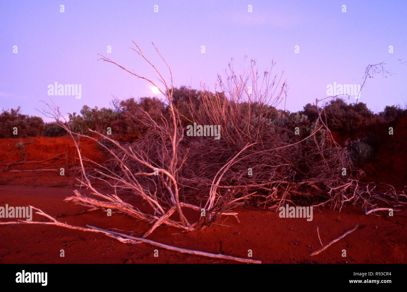 MUNGO NATIONALPARK IST TEIL DER WILLANDRA LAKES WORLD HERITAGE AREA, NSW, Australien. Stockfoto