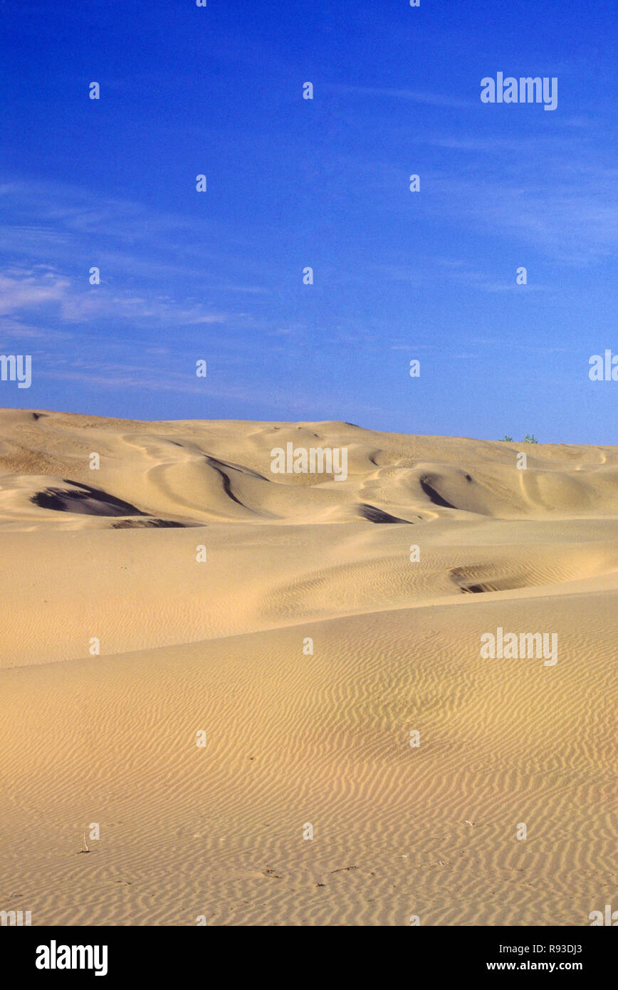 Wüste in Jaisalmer, Rajasthan, Indien Stockfoto
