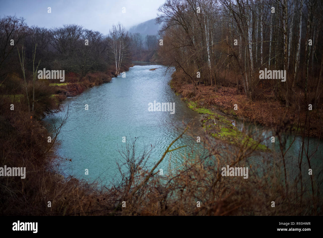 Birken Linie ein Bach in der Nähe von Cantor, NY, 16. Dezember 2018 fließen. Stockfoto
