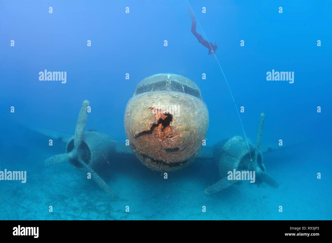 Freediverin am Flugzeug Wrack Douglas DC-3 'Dakota', Mittelmeer, Kaş, Kas, Türkei Stockfoto