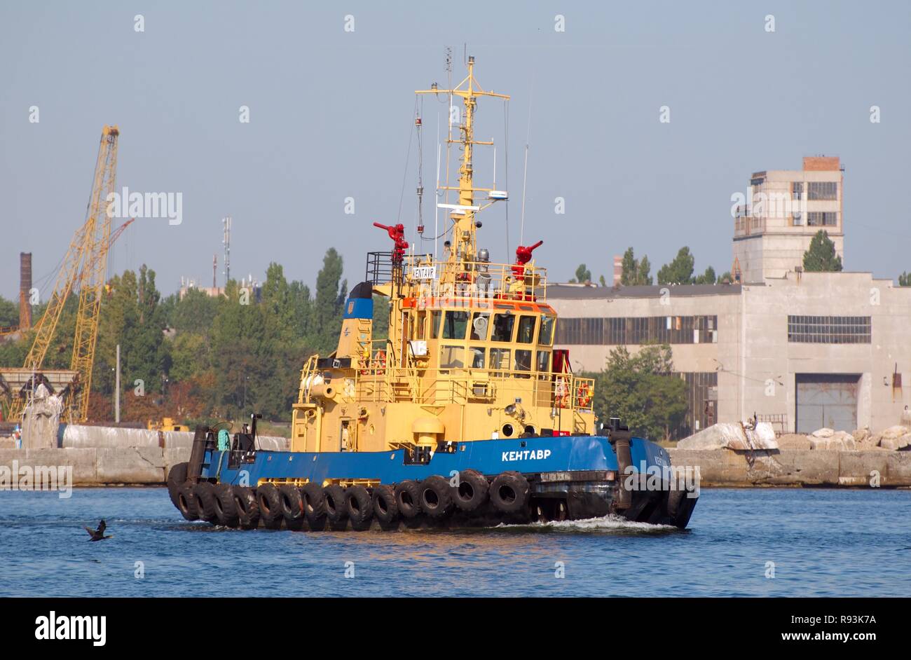 Hafen von Odessa, Port, Odessa, Odessa, Ukraine Stockfoto