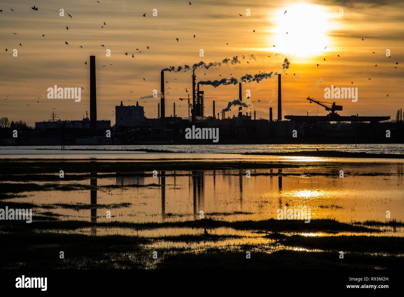 Industrieanlagen der Sachtleben Chemie GmbH, ein Hersteller von Spezialchemikalien, auf dem Rhein bei Sonnenuntergang, Homberg Stockfoto