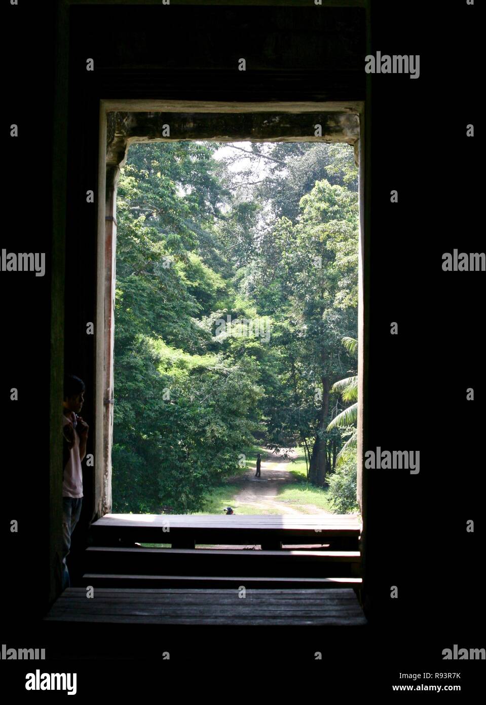 Man betrachtet das Leben neben einem natürlichen Rahmen, aus einem kambodschanischen Tempel Stockfoto