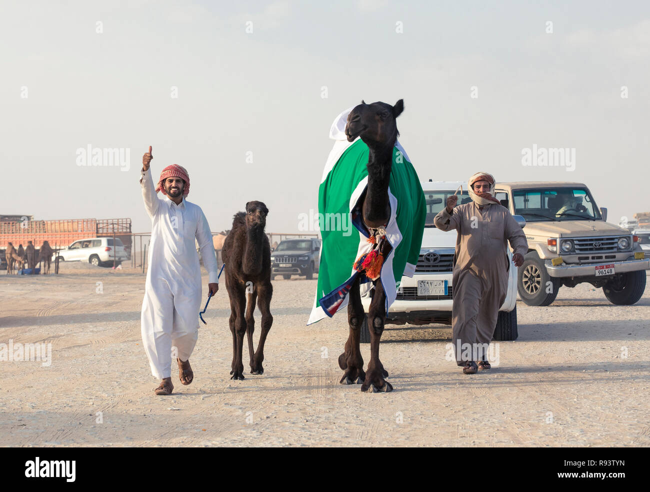Madinat Zayed, Vereinigte Arabische Emirate, am 15. Dezember, 2017: arabische Mann mit seinem Kamel an der Millionen Straße, wo Kamele gekauft und verkauft. Stockfoto