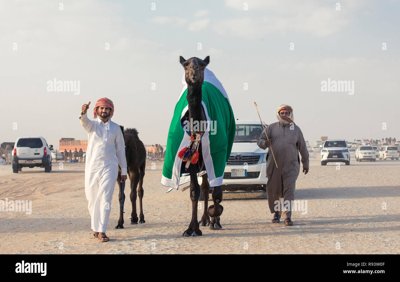 Madinat Zayed, Vereinigte Arabische Emirate, am 15. Dezember, 2017: arabische Mann mit seinem Kamel an der Millionen Straße, wo Kamele gekauft und verkauft. Stockfoto
