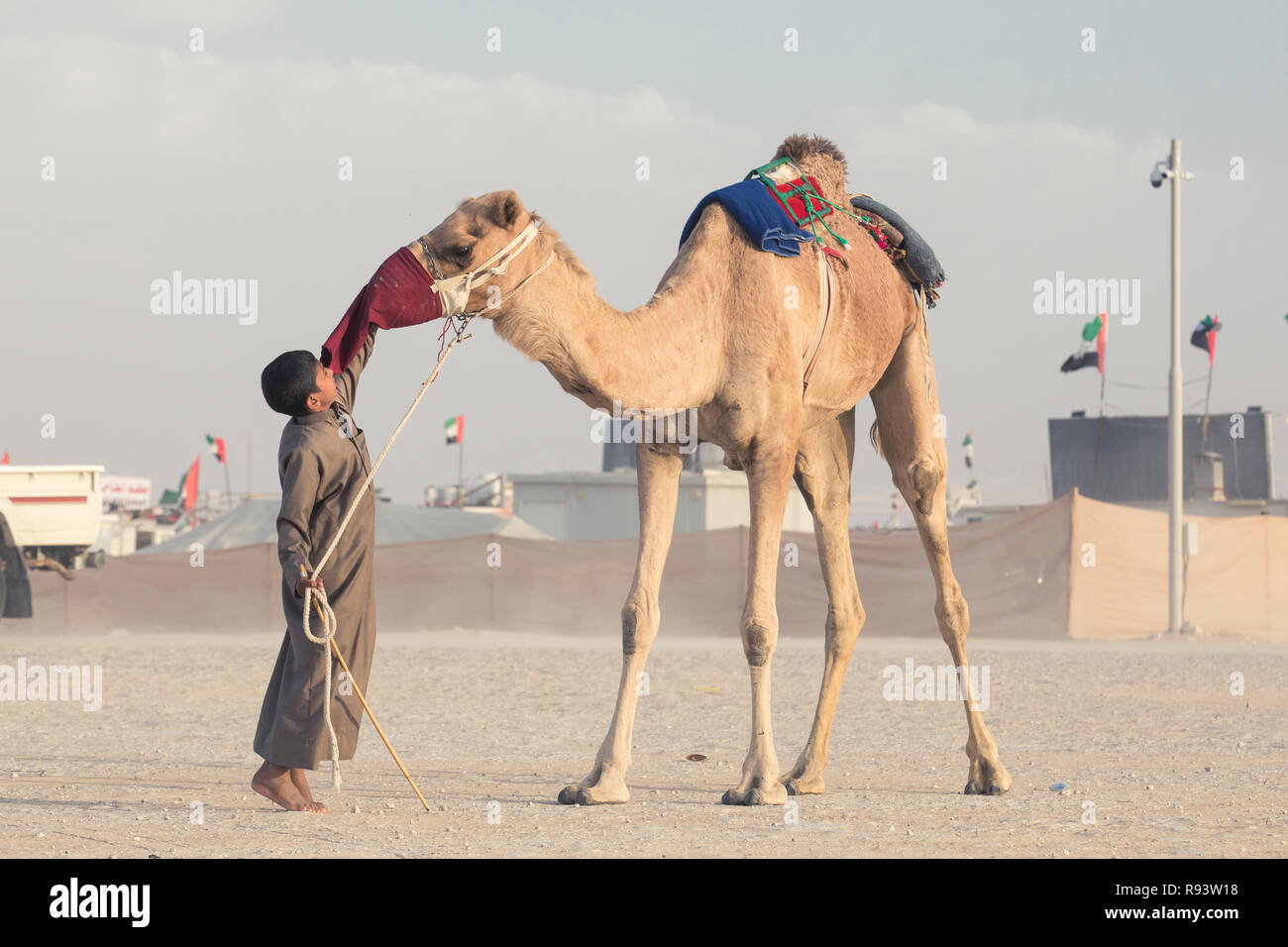 Madinat Zayed, Vereinigte Arabische Emirate, am 15. Dezember, 2017: arabische Mann mit seinem Kamel an der Millionen Straße, wo Kamele gekauft und verkauft. Stockfoto