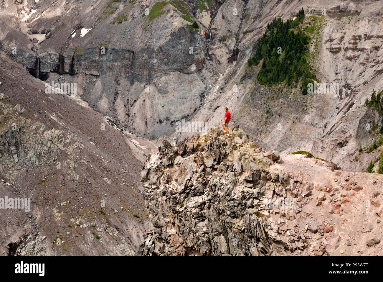 WA 15572-00 ... WASHINGTON - Wanderer steht auf einer Klippe mit Blick auf die Zurückfliehend Kautz Gletscher von Mildred Punkt in Mount Rainier National Park. Stockfoto