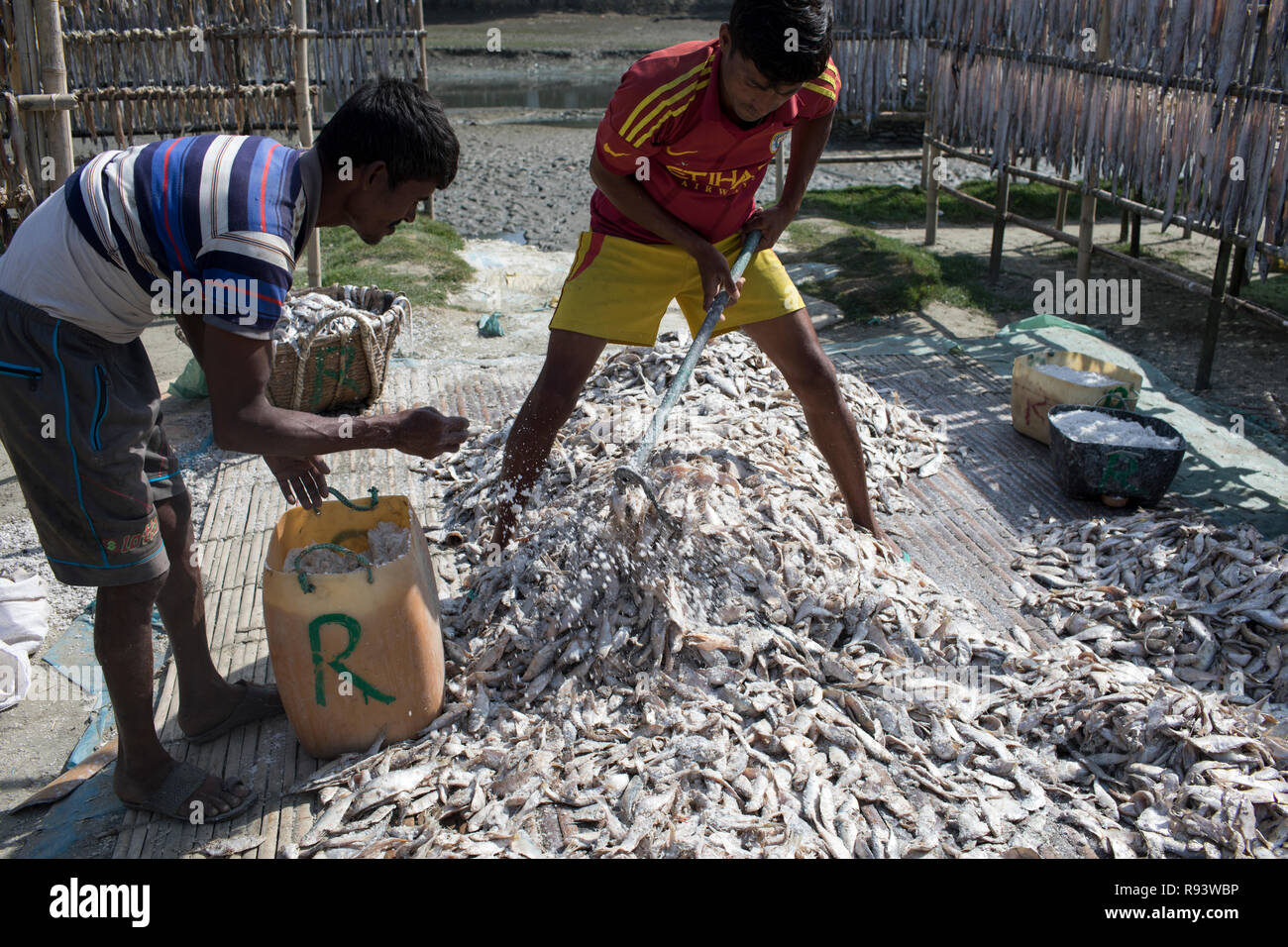 Arbeitnehmer, die Verarbeitung von Fisch im trockenen Fisch Werk Cox Bazar, Bangladesch Nazirartek getrocknet werden. Stockfoto