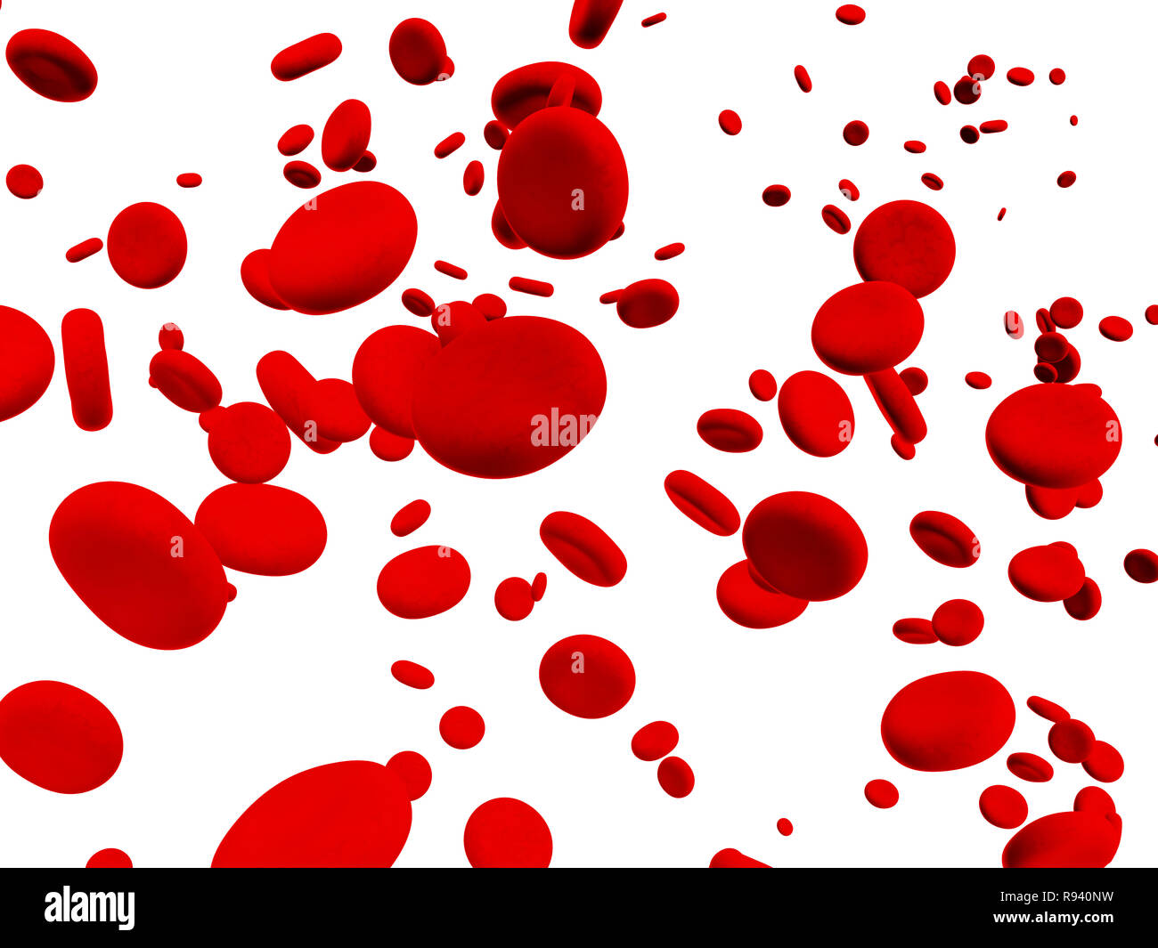 Vielen roten Erythrozyten - über Weiß isoliert Stockfoto