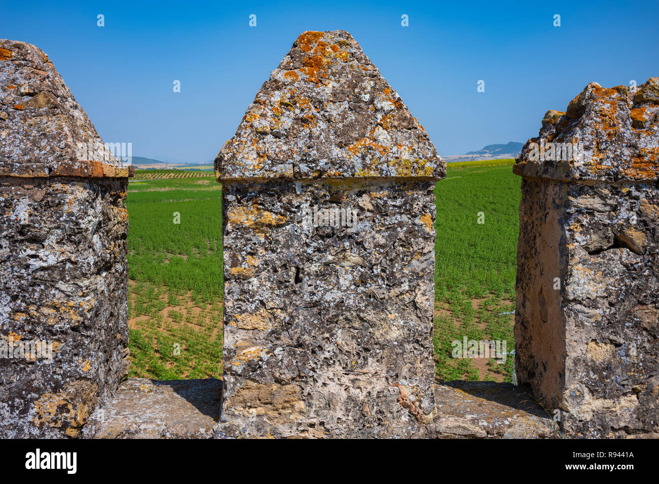 Die verlassenen Stein Aguzaderas Schloss in El Coronil, Spanien, eine Burgruine aus dem 14. Jahrhundert Morrish schloss, ruht in einem Feld mit Sonnenblumen in einer wolkenlosen, Summe Stockfoto