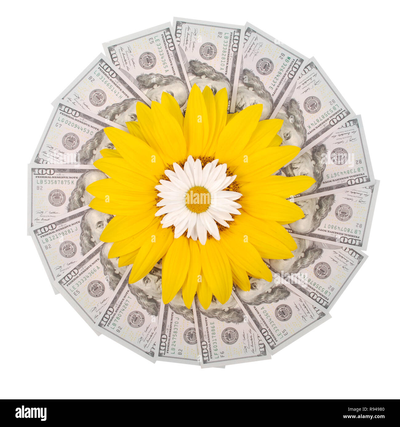 Sonnenblume und Kamille auf Mandala Kaleidoskop von Geld. Abstrakte Geld Hintergrund raster Muster wiederholen Mandala Kreis. Auf weissem Hintergrund. Stockfoto