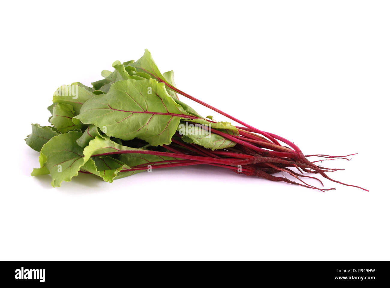 Frische rote Rüben mit Erde und Wurzeln, mit Blättern, auf weißem Hintergrund. Gesund Zutat. Studio Foto Stockfoto