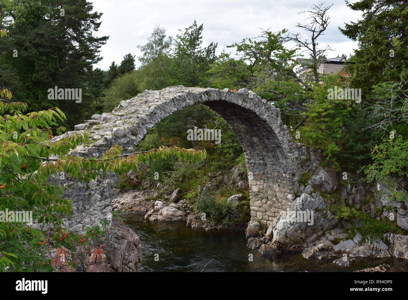 Die alte Packesel Brücke, Carrbridge Dorf, Badenoch und Strathspey, der Schottischen Highlands. Stockfoto