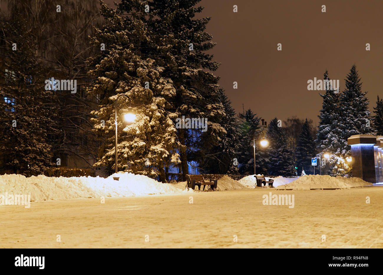Weihnachten Pinien im Winter in der Nacht City Park unter dem Schnee im ...