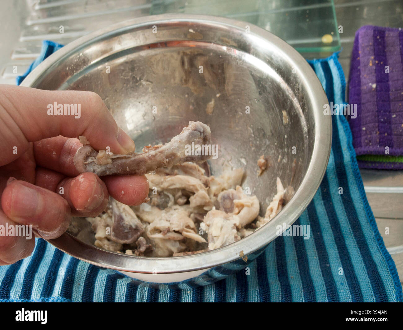 Nahaufnahme einer menschlichen Hand mit Huhn Knochen über ein Metall Futternapf Stockfoto