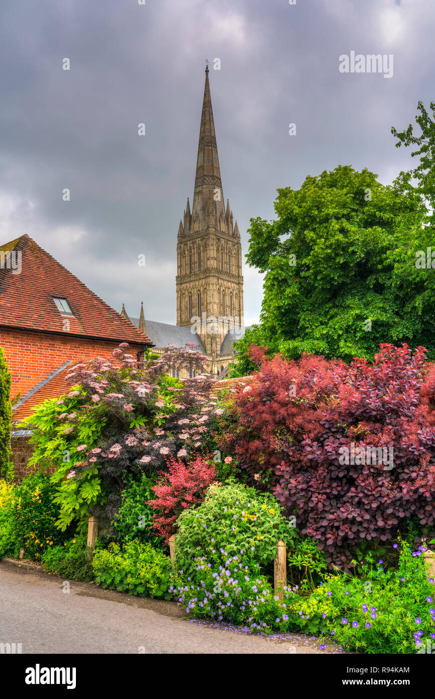 Ein Garten und Turm der Kathedrale von Salisbury in Salisbury, Wiltshire, England, Europa. Stockfoto